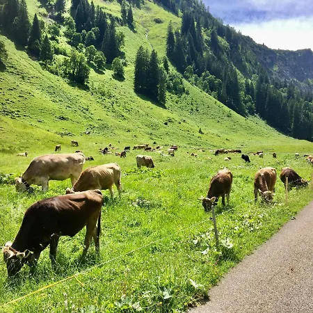 Couette-café 2 Raum Gaestezimmer Prokop 3*