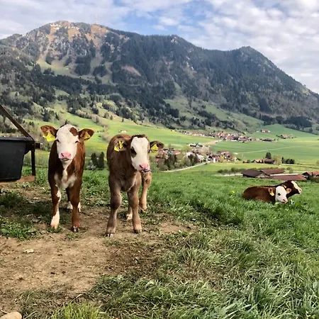 2 Raum Gaestezimmer Prokop レッテンベルク