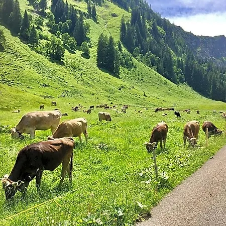 2 Raum Gaestezimmer Prokop